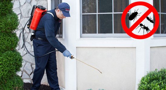 Ataşehir Dezenfeksiyon böcek ilaçlama ve haşere kontrolü — ilaclama-tr.com